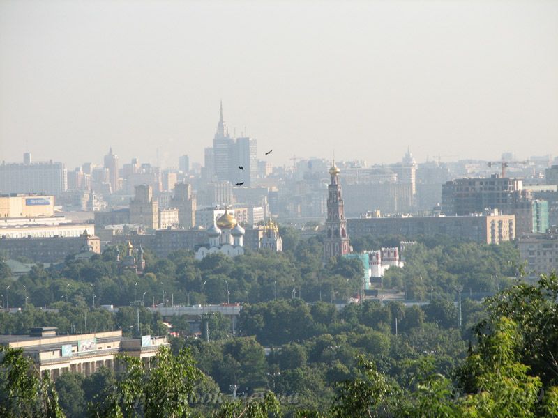 IMG_1848.jpg