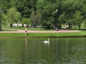 IMG_2154.jpg