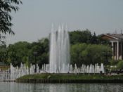 IMG_2156.jpg
