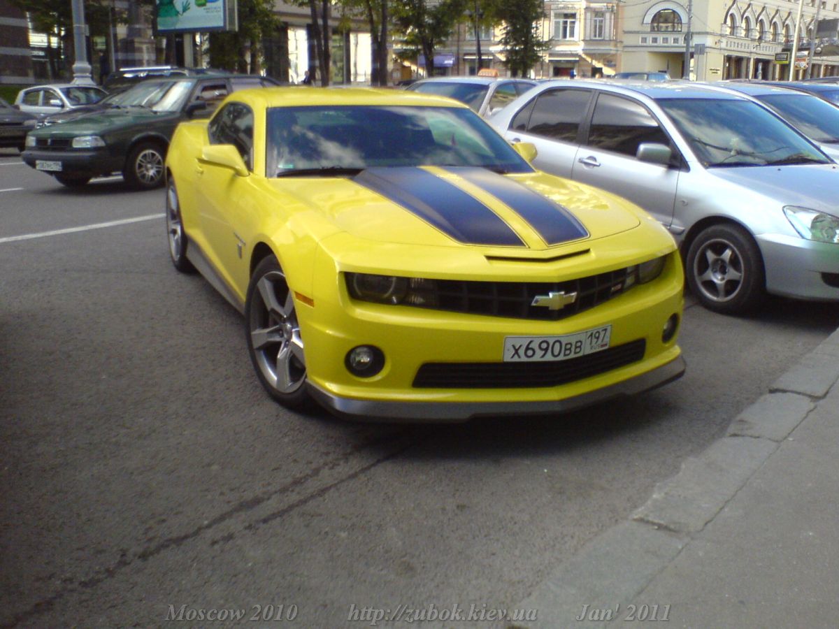 Bumblebee  