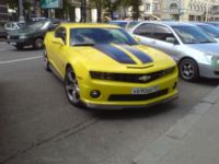 Bumblebee  