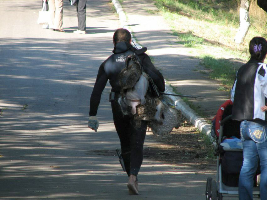 ������� ������ ����-���� �������. ������ � ������� �� 120 ���/������