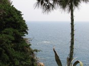 Sea views