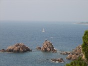 Sea views  