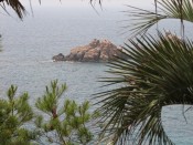 Sea views