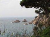 Sea views