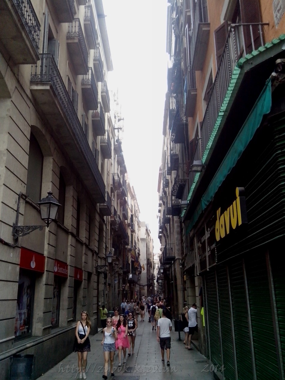 IMG_20140624_133524.jpg