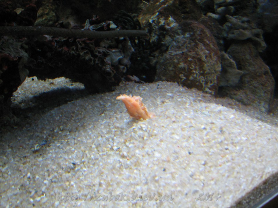 IMG_9306.jpg