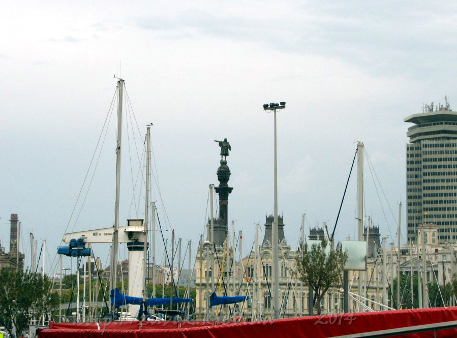 IMG_9350.jpg