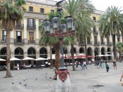 IMG_9282.jpg