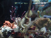 IMG_9303.jpg