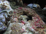 IMG_9305.jpg