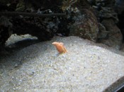 IMG_9306.jpg