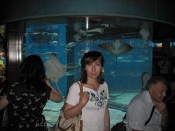 IMG_9309.jpg