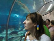 IMG_9317.jpg
