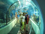 IMG_9336.jpg