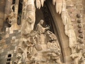 IMG_9368.jpg