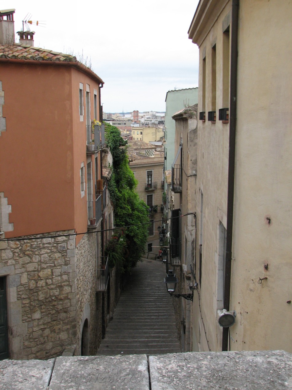 IMG_9385.jpg