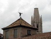 IMG_9383.jpg