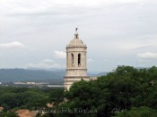 IMG_9389.jpg
