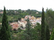 IMG_9393.jpg