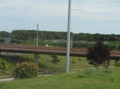 IMG_9444.jpg