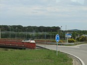 IMG_9445.jpg