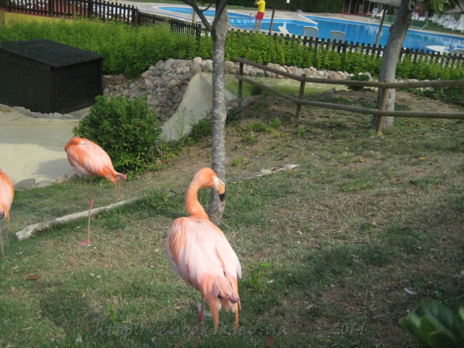 IMG_0183.jpg