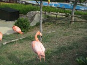 IMG_0183.jpg