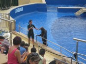 IMG_0205.jpg