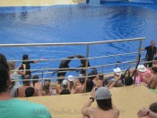 IMG_0206.jpg