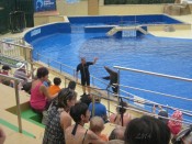 IMG_0207.jpg