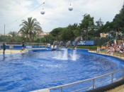 IMG_0223.jpg