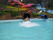 IMG_0266.jpg