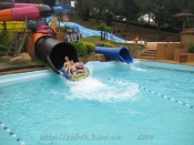IMG_0267.jpg
