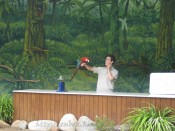 IMG_0286.jpg