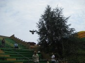 IMG_0288.jpg