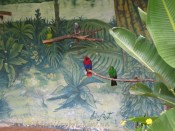 IMG_0296.jpg