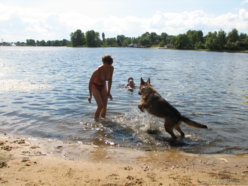 ��� ���� У� ..